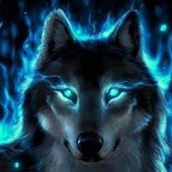 We Won The War's cover