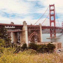 Pretty Little Liar's cover