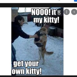 Live, laugh, love's cover