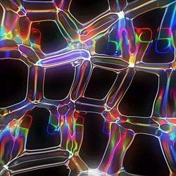 Its a beautiful day!'s cover