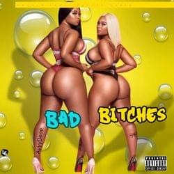 AyyyDeee - Bad Bitches's cover