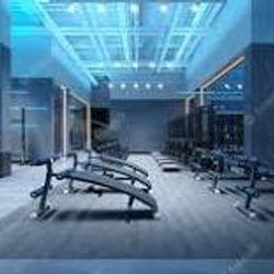 Oracle Palace:Gym's cover