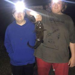 Lucid eyelids's cover