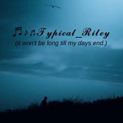 (It wont be long till my days end.) - "The End is The Beginning"'s cover