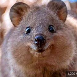 Life Going Down, Bring it up. Instrumental's cover