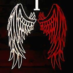 The Fallen Angel's cover