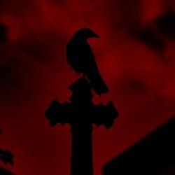 ♗🕊𝒮𝒶𝓃𝑔 𝓈é𝒸𝒽é🕊♗'s cover