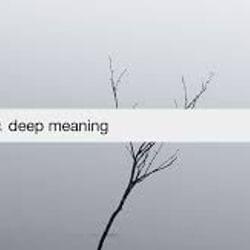 Deep Meaning's cover