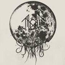 9001217567374's cover