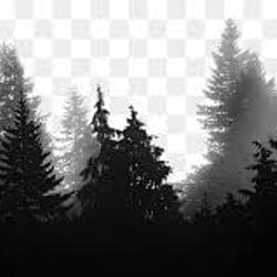 GOLD CAN BECOME RUST's cover