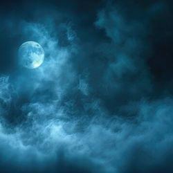 Silent Hills's cover