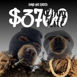 DO YOU UNDERSTAND's cover