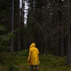 "𝑀𝓎 𝒪𝓌𝓃 𝒲𝒶𝓎" 𝒱𝒶𝓃𝒾𝓁𝓁𝒶~𝐼𝓇𝒾𝒾𝓈's cover