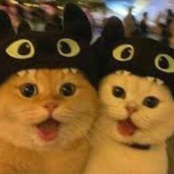 Night vibes 1 out 10's cover