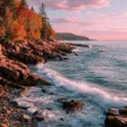 Lets make peace 's cover