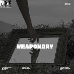 2030 (lyrics in comments) Album: WEAPONARY's cover