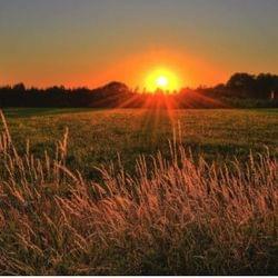 Rising Sun-lyrics in the comments-song gets better throughout's cover