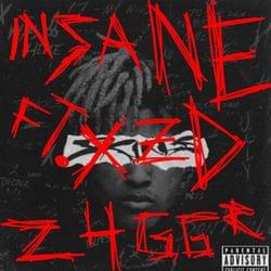 INSANE. (INSTERMENTAL) 24GGR FT. XZD's cover
