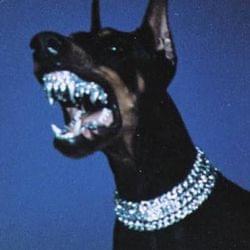 Young blue's cover
