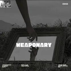 K** AND J**Y (LYRICS IN COMMENTS) ALBUM: WEAPONARY's cover
